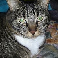 shasta_williams_731 avatar