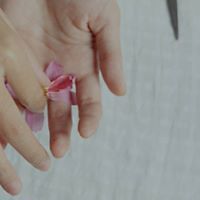 yuehanamizuki avatar