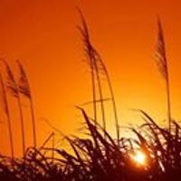 jeremy_wilman_7 avatar