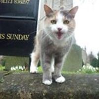 hazel_curtis_7503 avatar