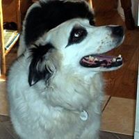 brenda_beharrell avatar