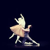 maysa_niyazova avatar