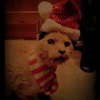 clare_hendersonhowat avatar