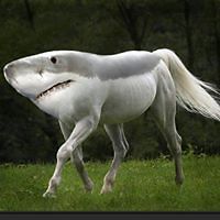 BitsyVonTrapp avatar