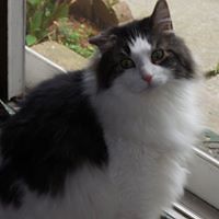 sandy_wolcott_96 avatar