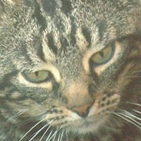 ali_browning_10 avatar