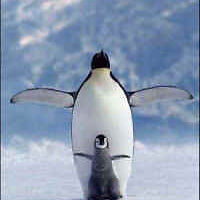 barbie_smith_1232 avatar