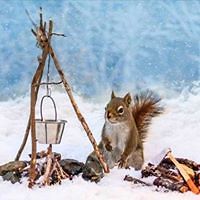 jason_mccormick_35 avatar