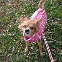 leeann_davis_378 avatar