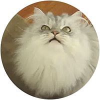 54ba097c93247 avatar