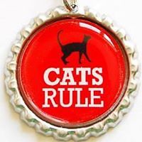 amelie_remy_54 avatar