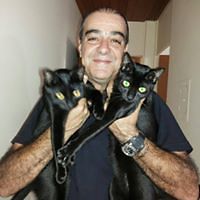 celestinogomezsp avatar