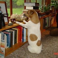 christophe_marin67 avatar