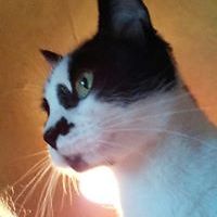 54ba5ccc552ef avatar