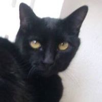 linda_mellish_7 avatar