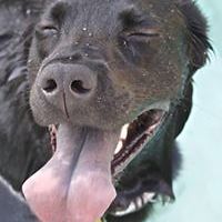 kathy_kraft_507 avatar