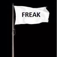 deblesperance avatar