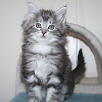 abigail_macdonald_129 avatar