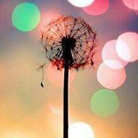 katharine_berrigan avatar