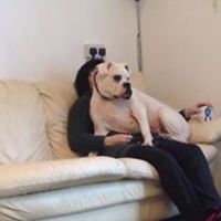 54bad9134895c avatar