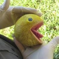 terry_huggles avatar