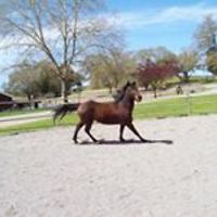 judy_roderick_31 avatar