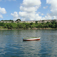 davidwestling avatar