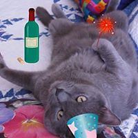 vanita_sorensen avatar