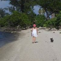 maria_s_nalerio avatar