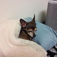 wendy_coronacastellanos avatar