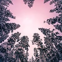 jennifer_mclennan_71 avatar