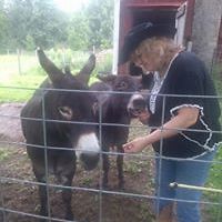 katie_sootheran avatar