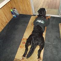 STACEESEVERINO avatar