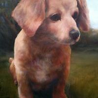 grace_fung_75054 avatar