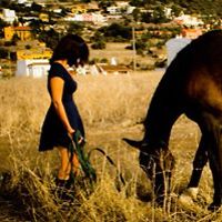 angelica_laurin_3 avatar