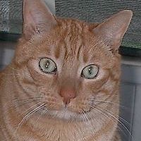 janet_haneybenward avatar