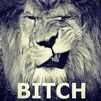 inge_geisler_16 avatar