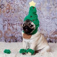 chiara_m_maida avatar