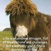 54bfa1a40e77e avatar