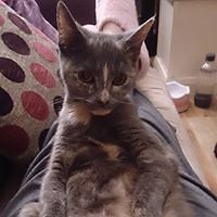 alix_campbell1 avatar