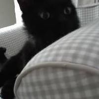 angela_dunavant avatar