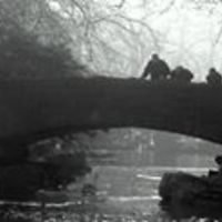 JackieOPeters avatar