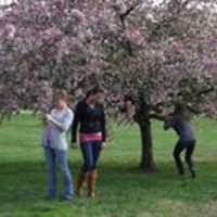 nyree_g_williams avatar