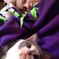 54c05526a9ef3 avatar