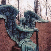 streetartrebel avatar