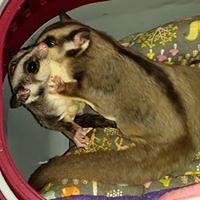 sian_cowley_7 avatar