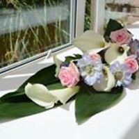 54c17e751179e avatar