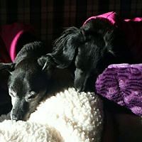 schari_markey avatar