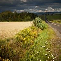 peter_meissner_92 avatar