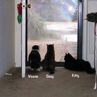 maggie_scarborough_9 avatar